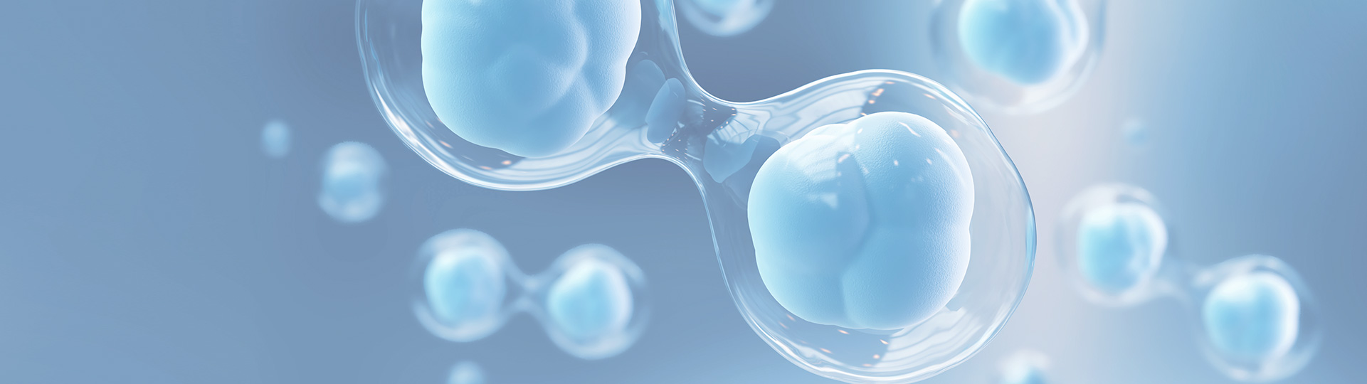 �����ϸ硤(�й�)���ֲ��ٷ���վ