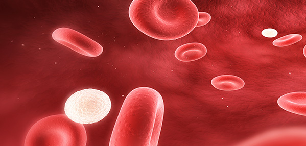 �����ϸ硤(�й�)���ֲ��ٷ���վ