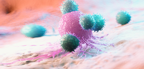 �����ϸ硤(�й�)���ֲ��ٷ���վ