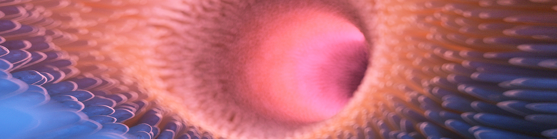 �����ϸ硤(�й�)���ֲ��ٷ���վ