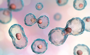 �����ϸ硤(�й�)���ֲ��ٷ���վ