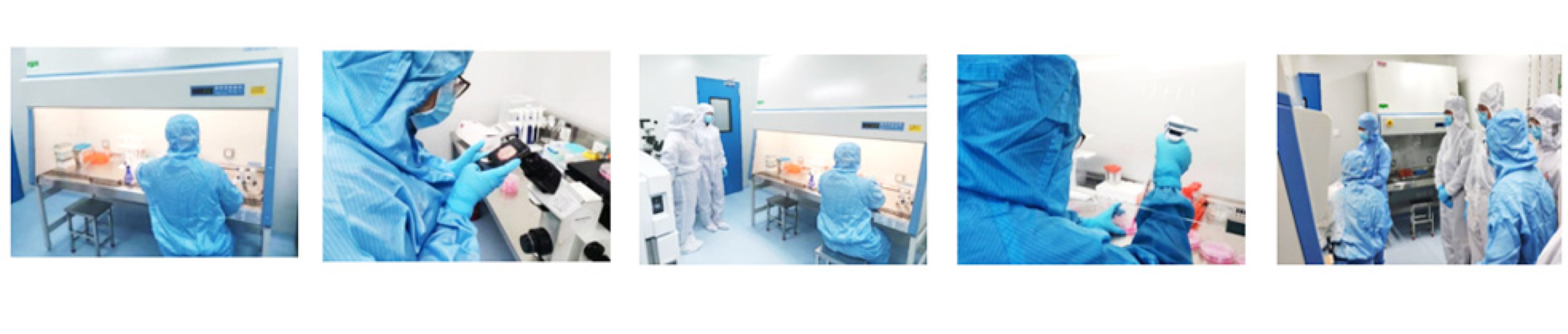 �����ϸ硤(�й�)���ֲ��ٷ���վ