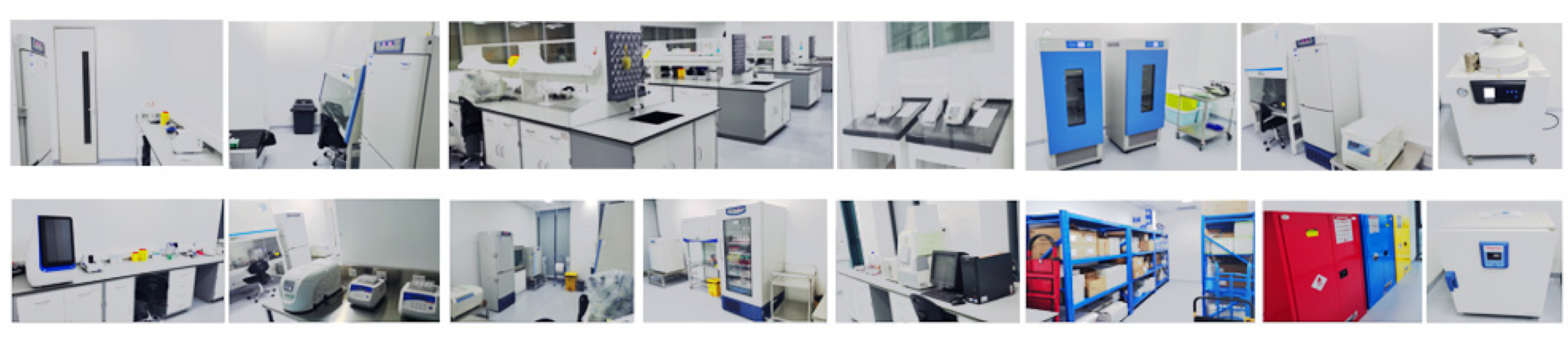 �����ϸ硤(�й�)���ֲ��ٷ���վ