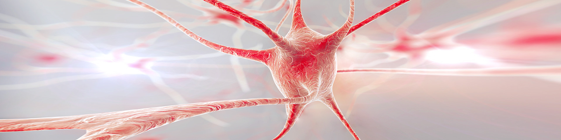 �����ϸ硤(�й�)���ֲ��ٷ���վ